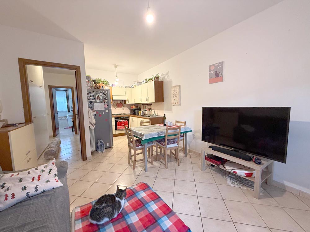 Morciano trilocale con giardino e garage